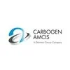 Dishman Carbogen Amcis