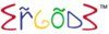 Ergode IT Services