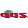GGS Information Services